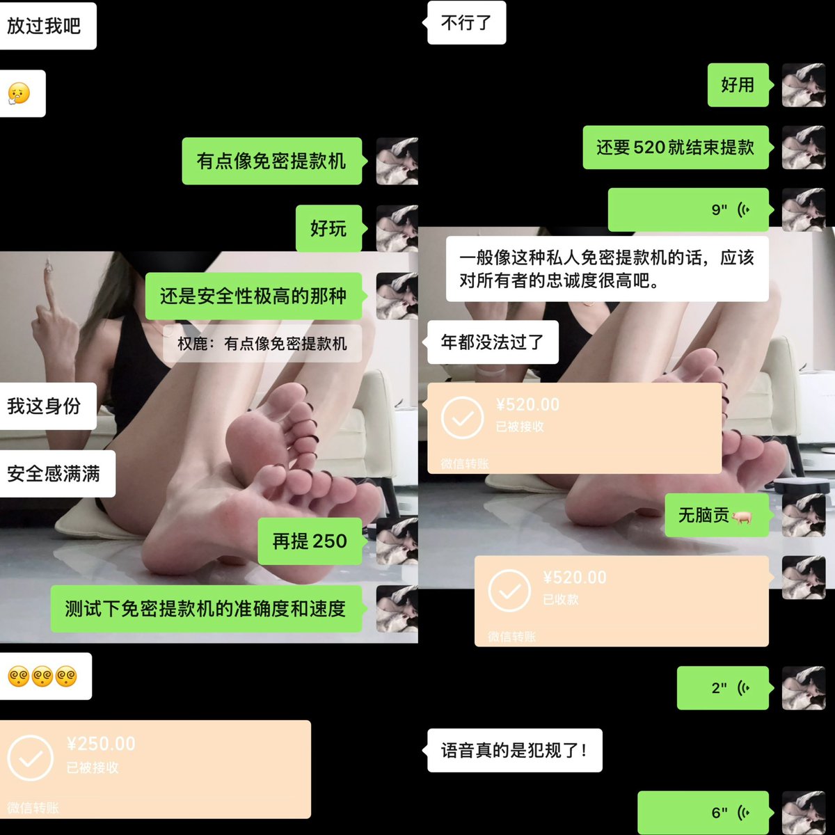 权鹿Dom tweet media