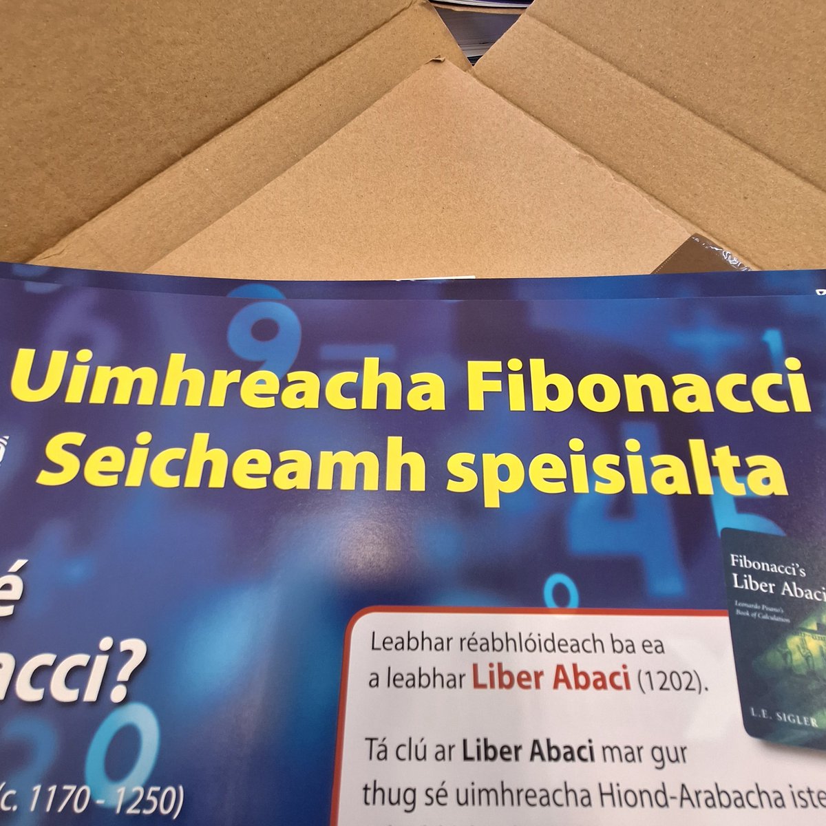 Laurel Hill Coláiste tweet media