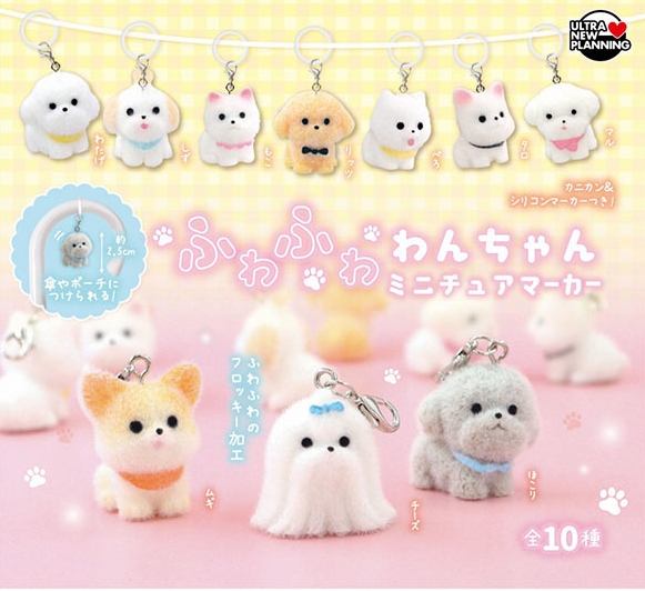 マルチーズがいる！！これはGETせねば！！