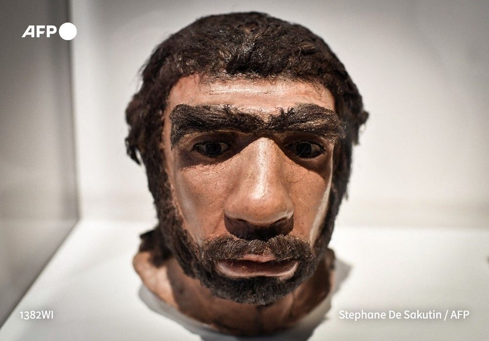 afpfr's tweet photo. Les hommes de Néandertal et les femmes Homo Sapiens étaient particulièrement enclins à s'accoupler, affirme une étude scientifique publiée jeudi par la revue Science, une habitude qui permet de mieux comprendre l'évolution du génome humain. 

➡️ https://t.co/IwsQEwDQFs https://t.co/Lv0Enb7e4c