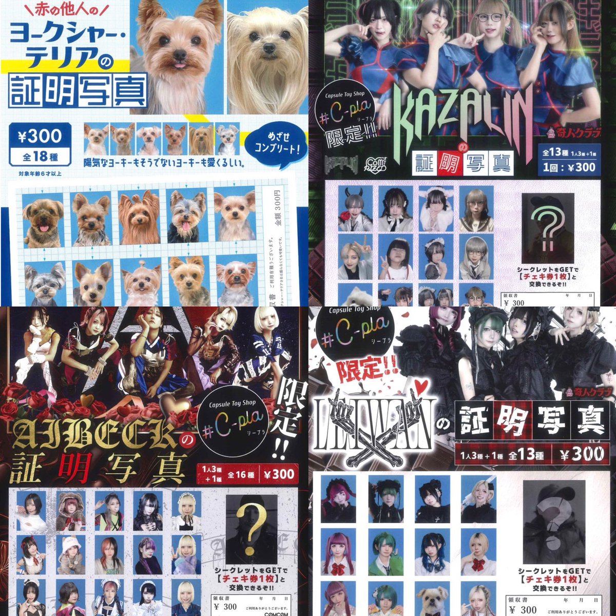 ②12種入荷しました