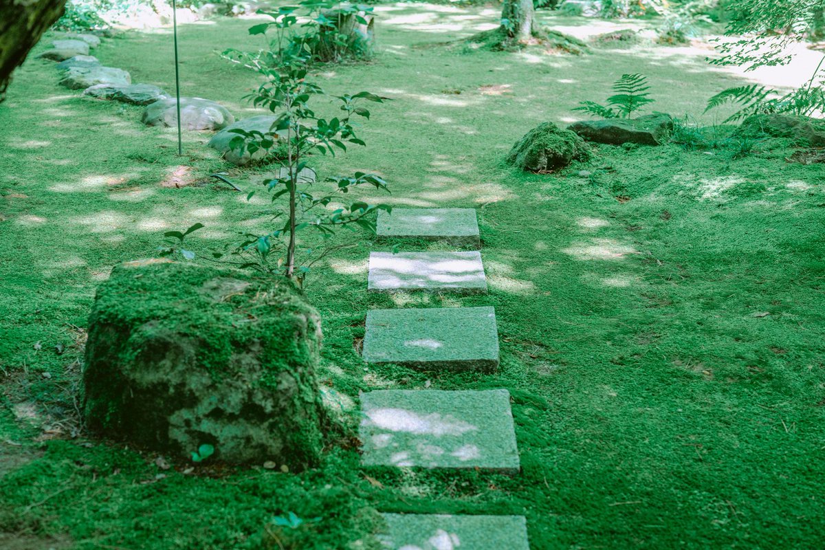 yori.so gallery ＆ label tweet media