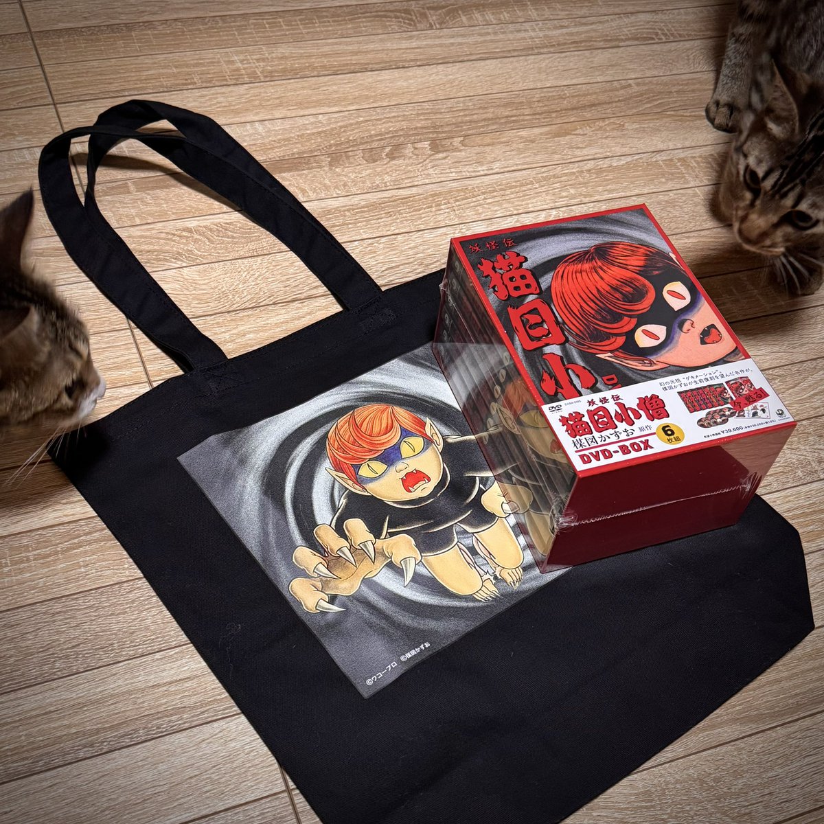 猫目小僧DVD-BOXと猫目小嬢