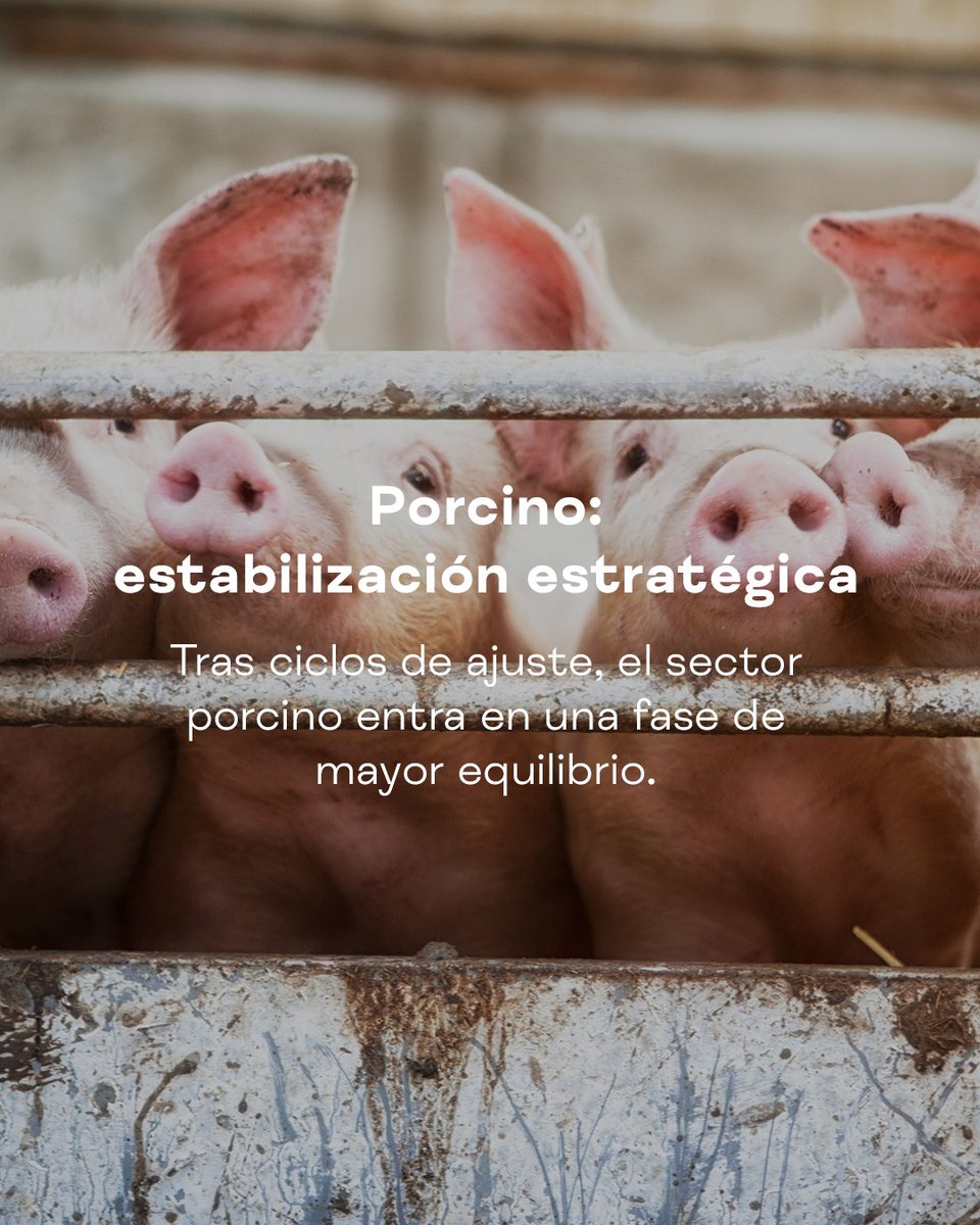 Meat Attraction tweet media