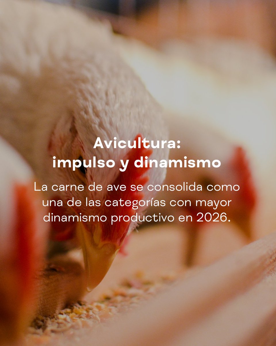 Meat Attraction tweet media