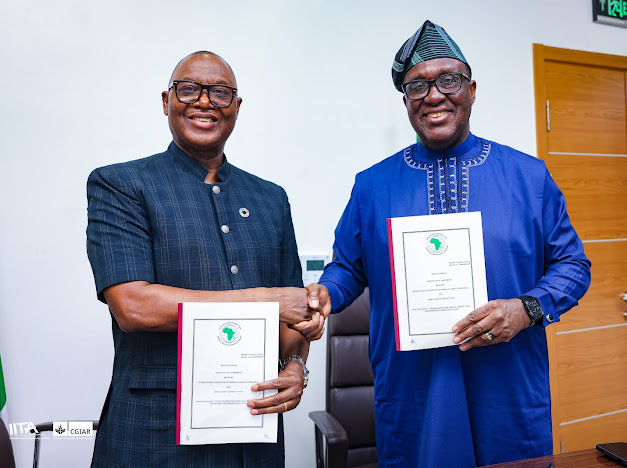 African Development Bank Group tweet media