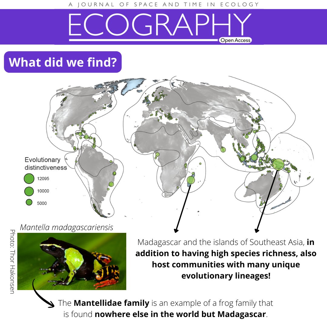 Matheus Moroti tweet media