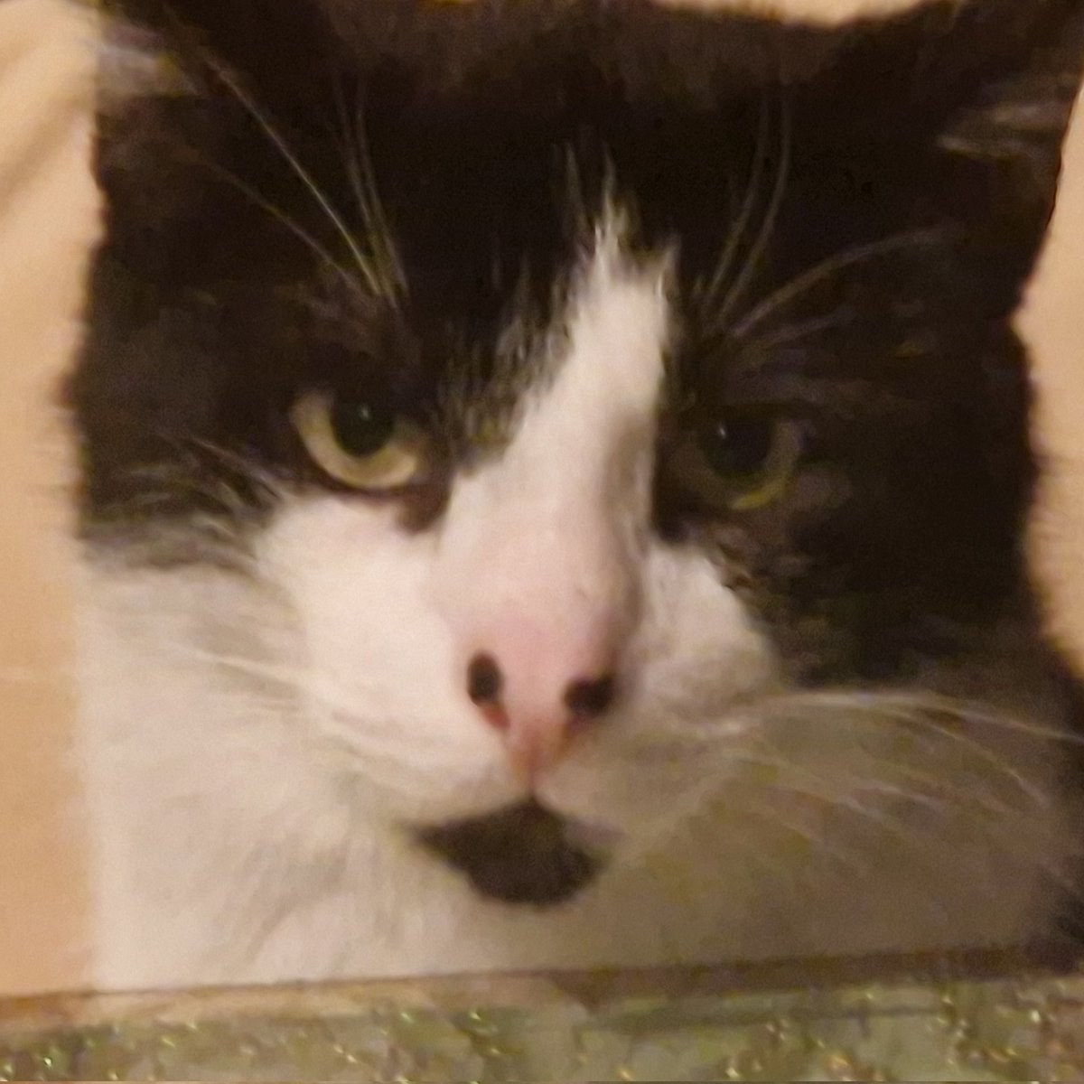 Social Media suckt, weil dauerhaft das Risiko existiert, dass man von jemandem, der nur AAA-Spiele spielt, die Meinung lesen muss