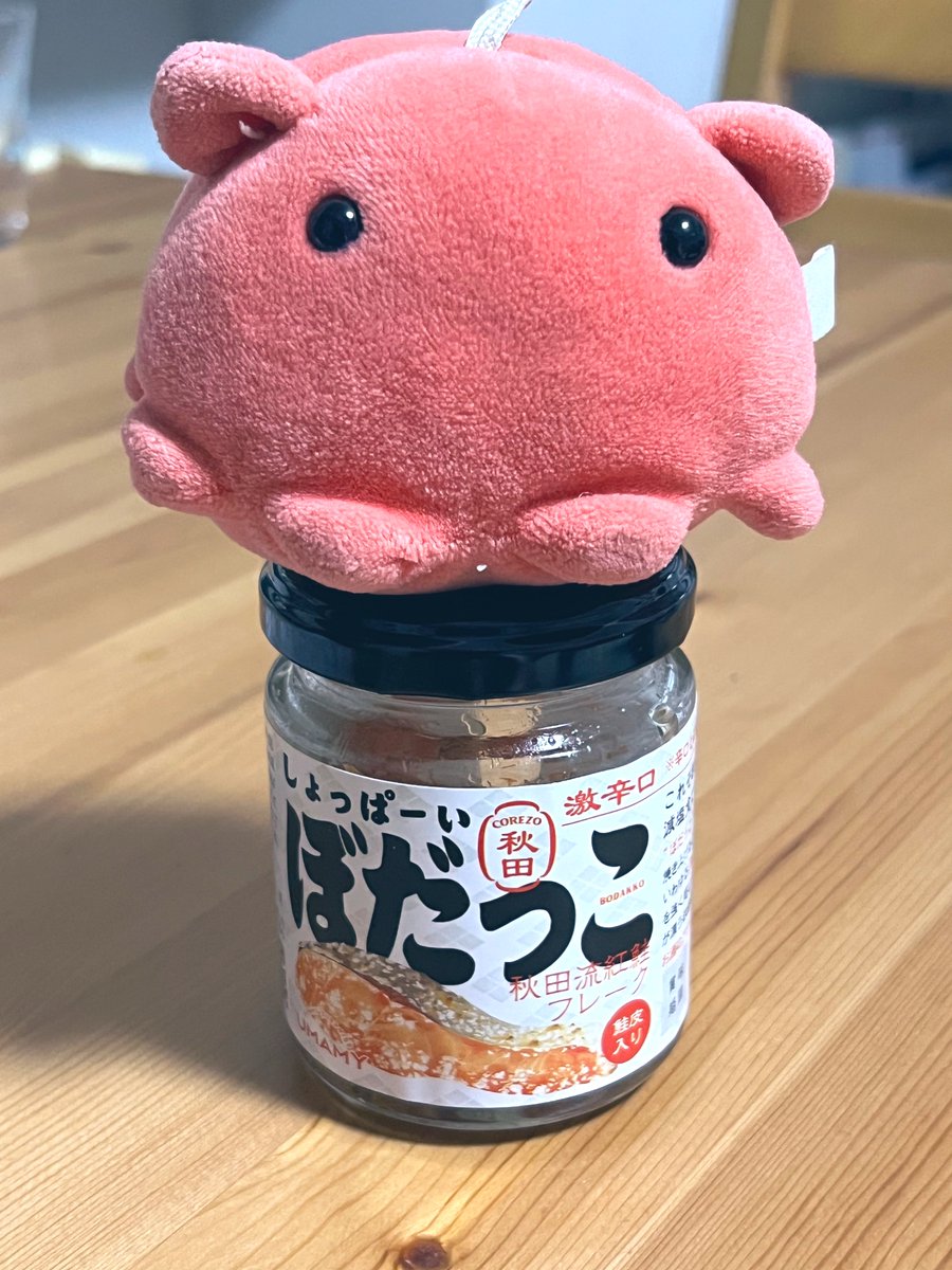 Post by 旅するめんだこ on X: 🐙