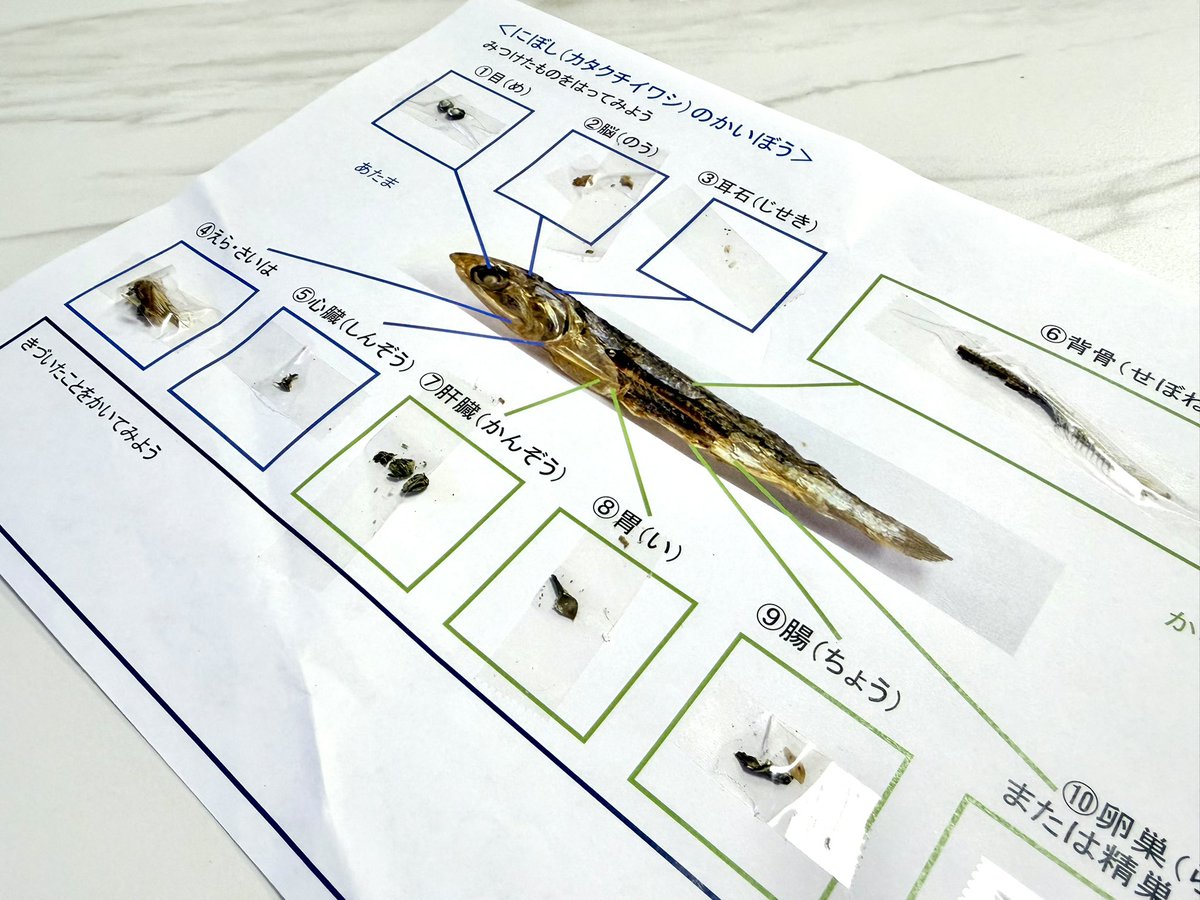 いもす tweet media