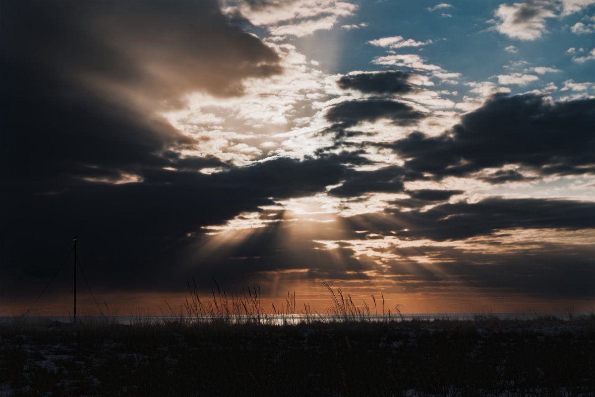 ミスログ tweet media