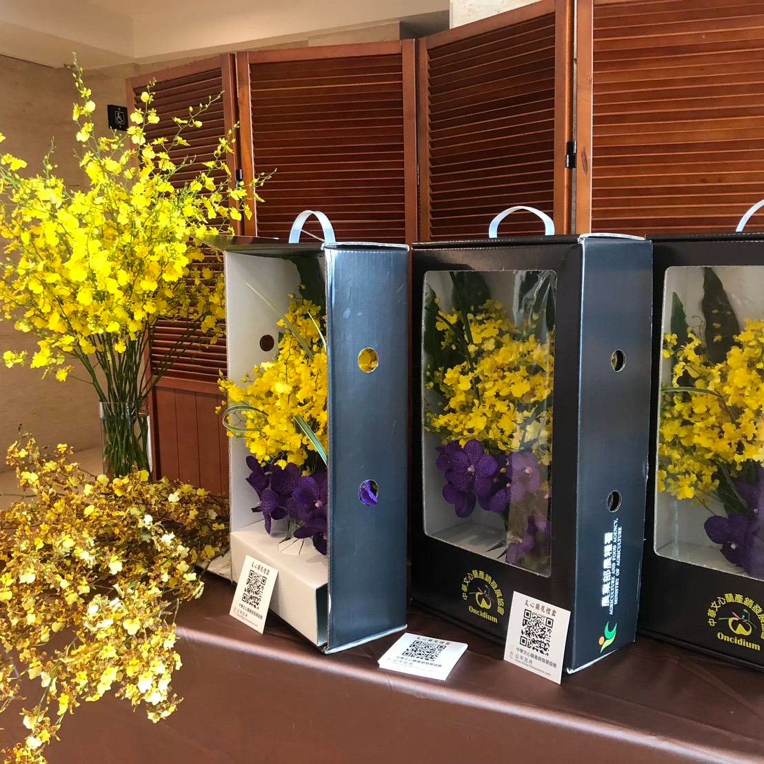 Taiwan in the EU and Belgium tweet media