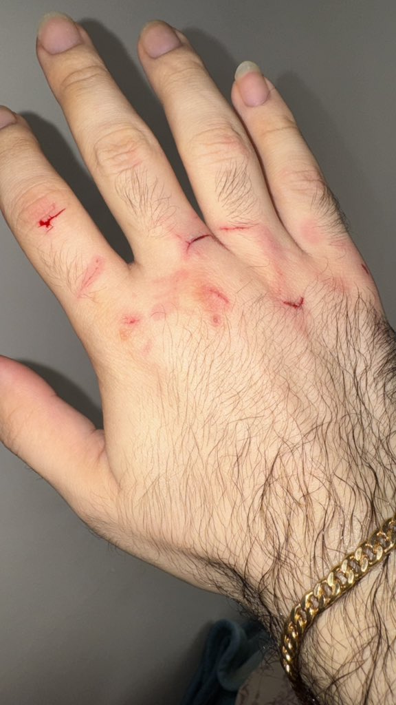 Katsu🟩☀️🦁🟥 tweet media