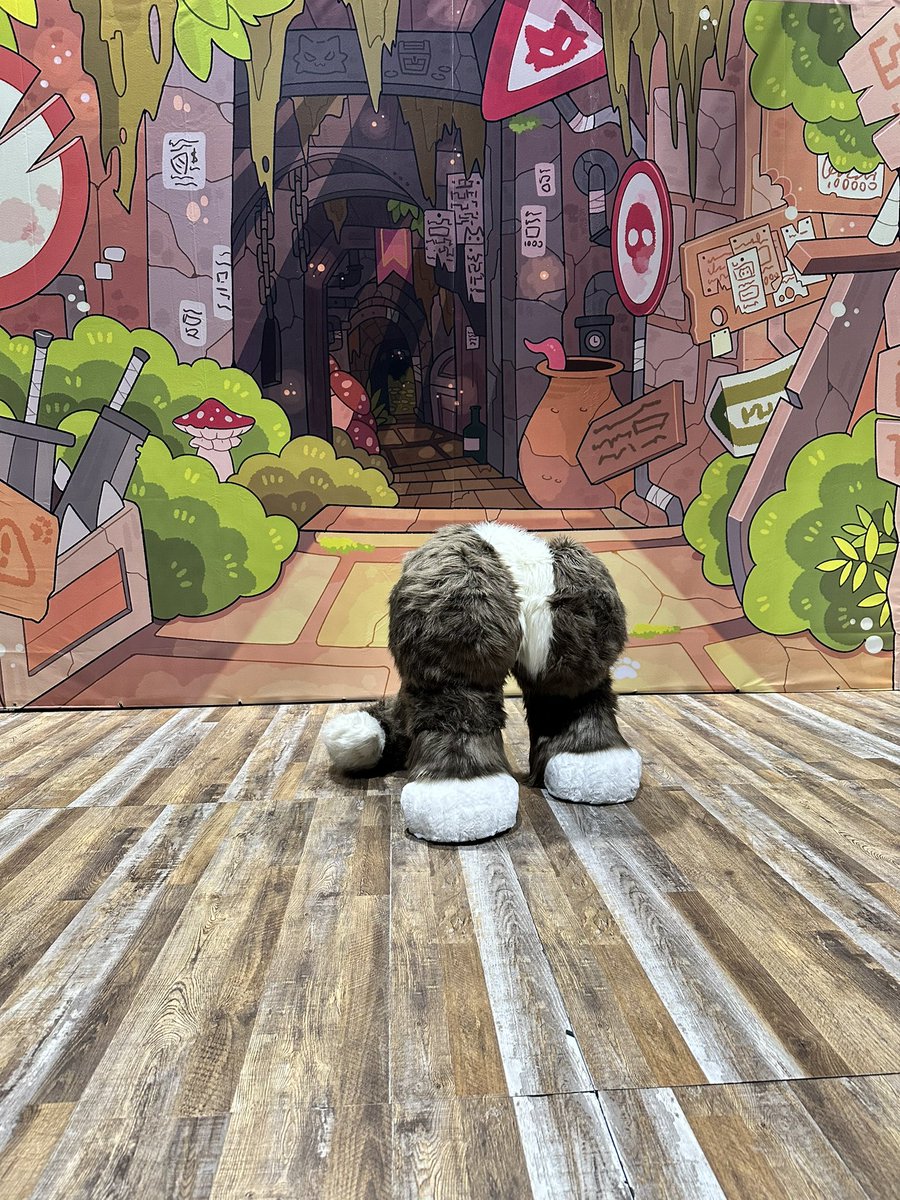LittleWolf0221's tweet photo. 「這個地方看起來很可疑」

#FursuitsFriday https://t.co/OFe8fXQ3Ys