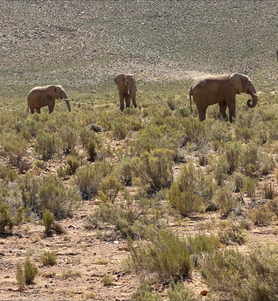 Everton Football College tweet media
