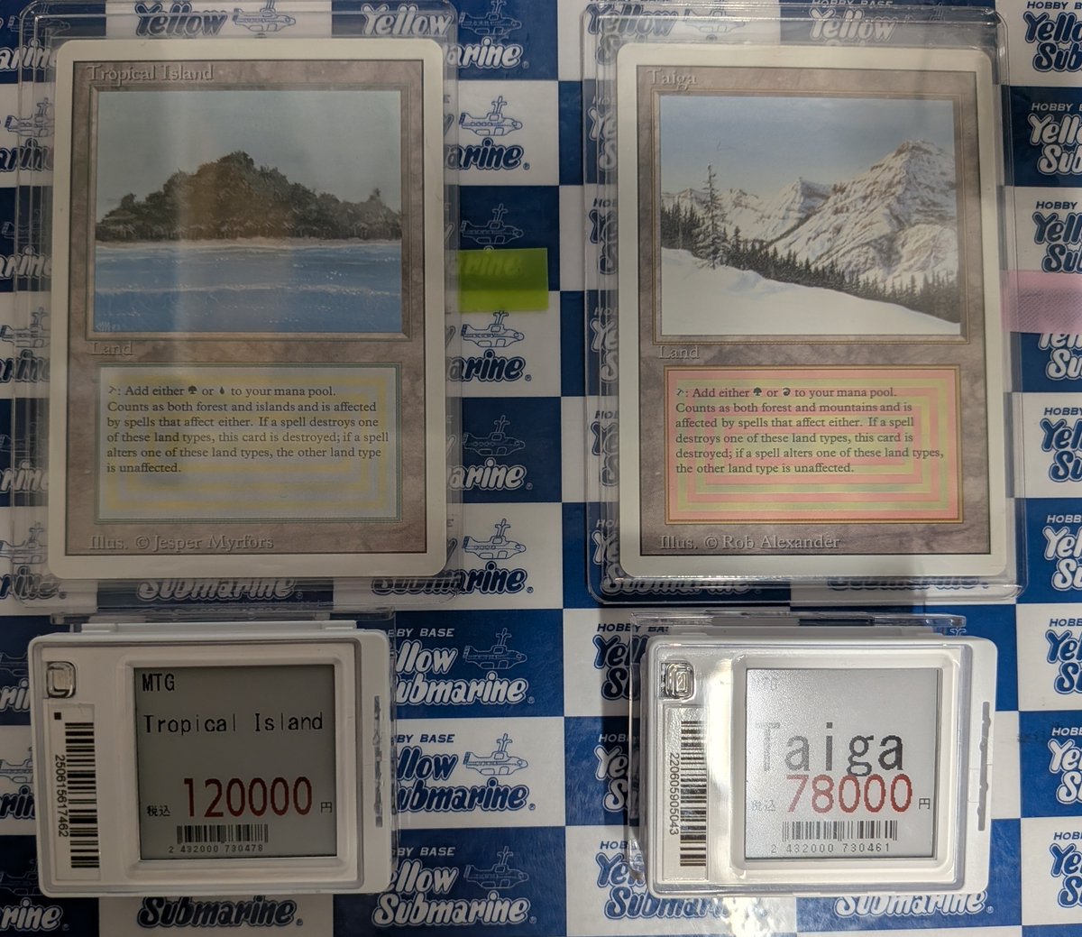 イエサブ福岡入荷】 #MTG #MTGYSF 《Tropical Island》 《Taiga》 入荷