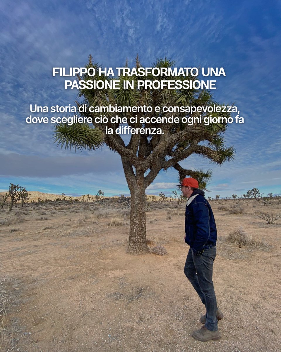 Evolution Travel tweet media