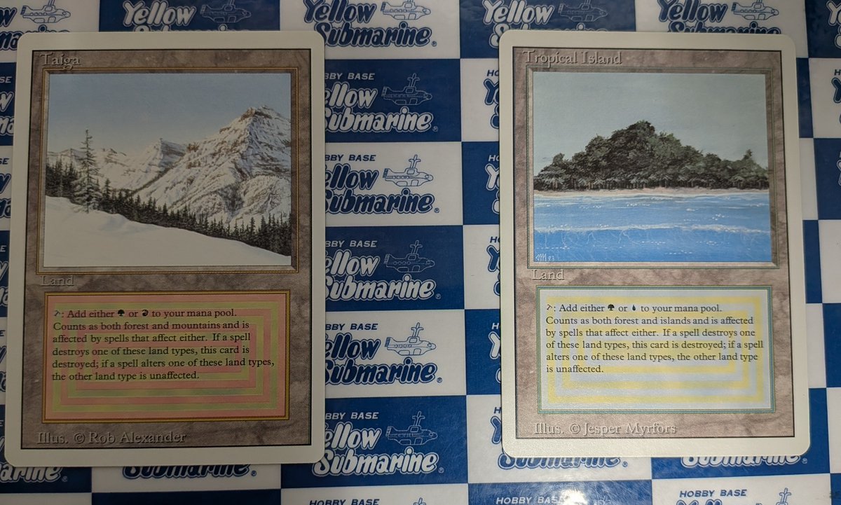 イエサブ福岡入荷】 #MTG #MTGYSF 《Tropical Island》 《Taiga》 入荷