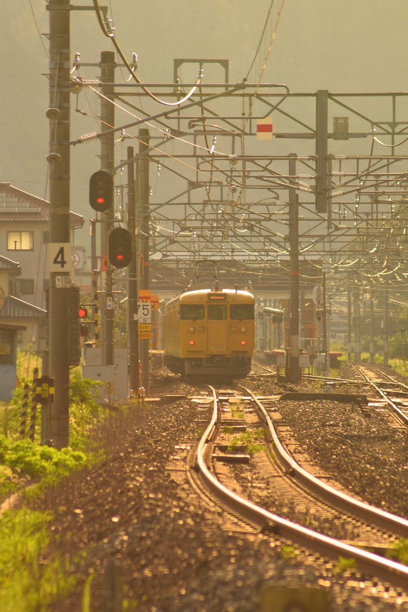 湘南あずき tweet media