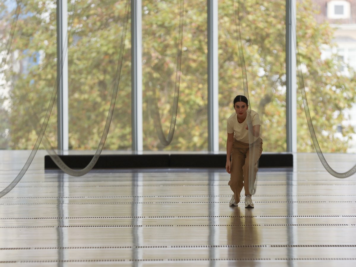 Centro Botín tweet media