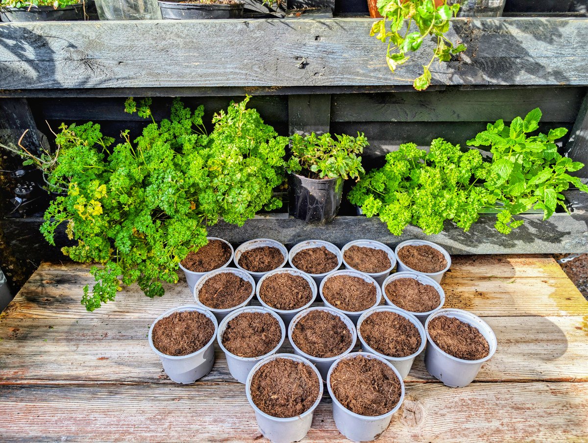 Brian Cunningham tweet media