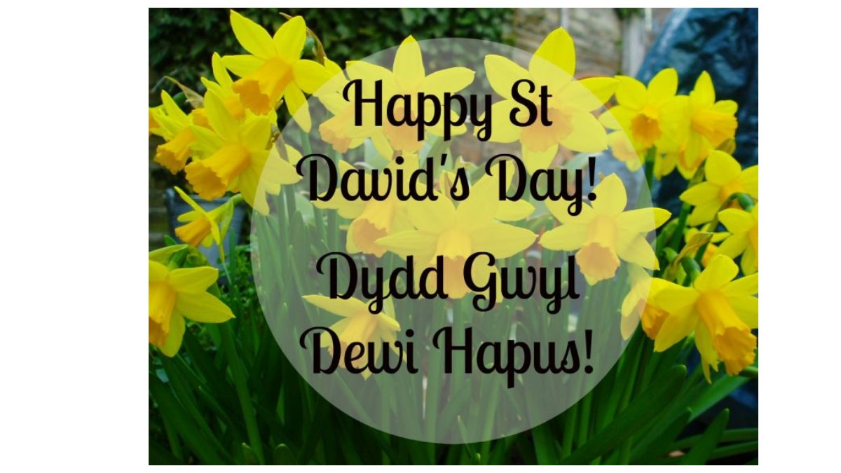 Llanelli Rural Council tweet media