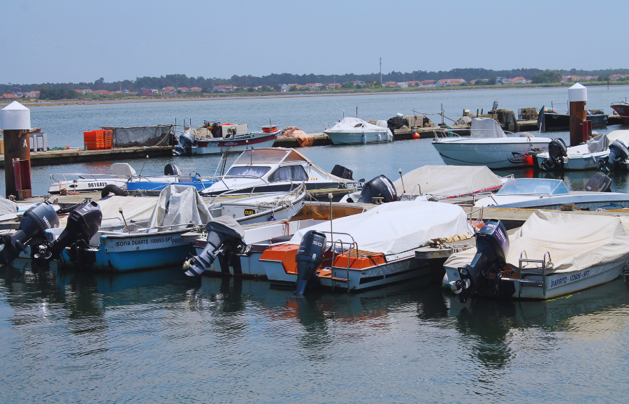 Interreg Atlantic Area tweet media