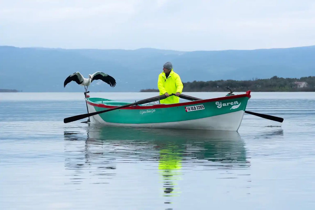Şu bakışma ile aslında şüphelendik biz gelenin Yaren olduğundan. İlk günler hiç pas vermedi çünkü. 6 aydır görmeyince yanılabiliyor insan. Adem Amca’nın hep söylediği bir laf var nasıl tanıyorsun Yaren’i diye soranlara ‘’bana yakınlığından’’

Sonrası zaten ikinci fotoğrafta :)