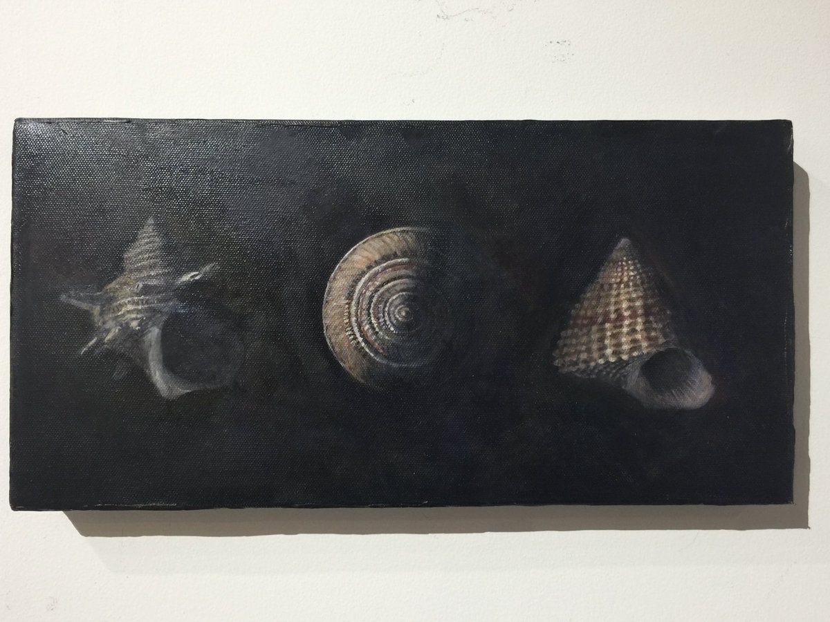 私はこういう絵を描いています #TLを貝殻でいっぱいにしよう 過去作品