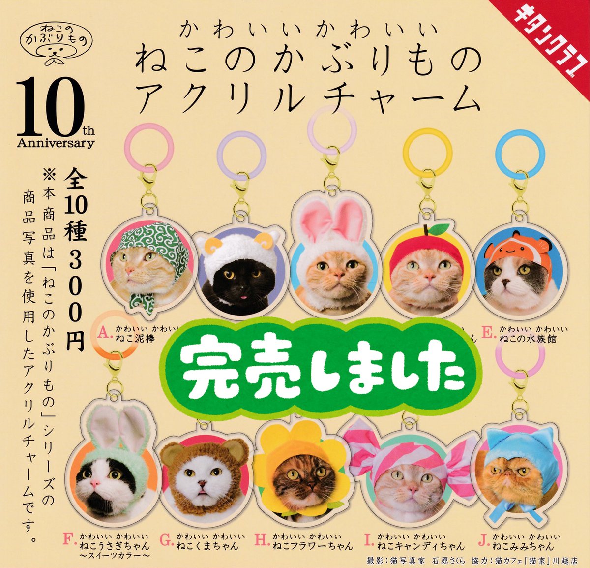 2月27日（金）完売商品のお知らせ】 📢 かわいいかわいいねこのかぶり