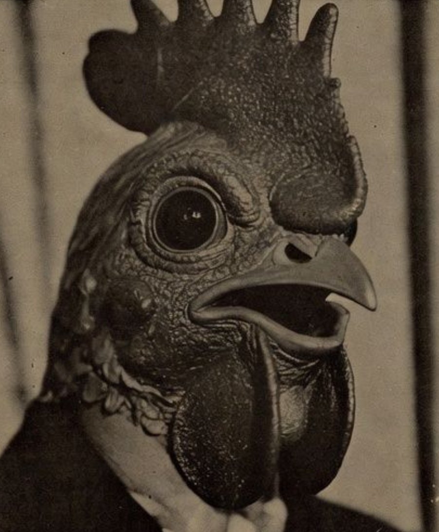 Ekstraklasowicz_Oficjalnie tweet media