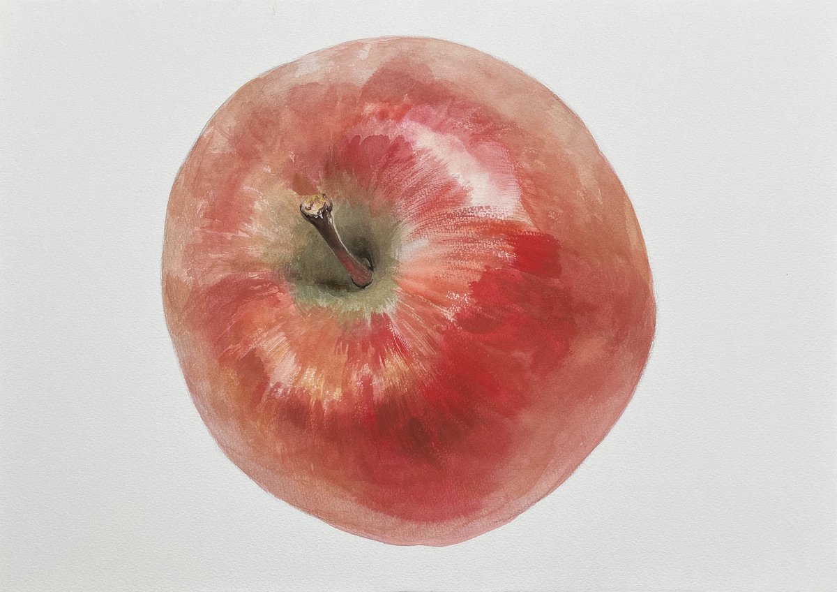 Nao Yamamoto Nagi tweet media