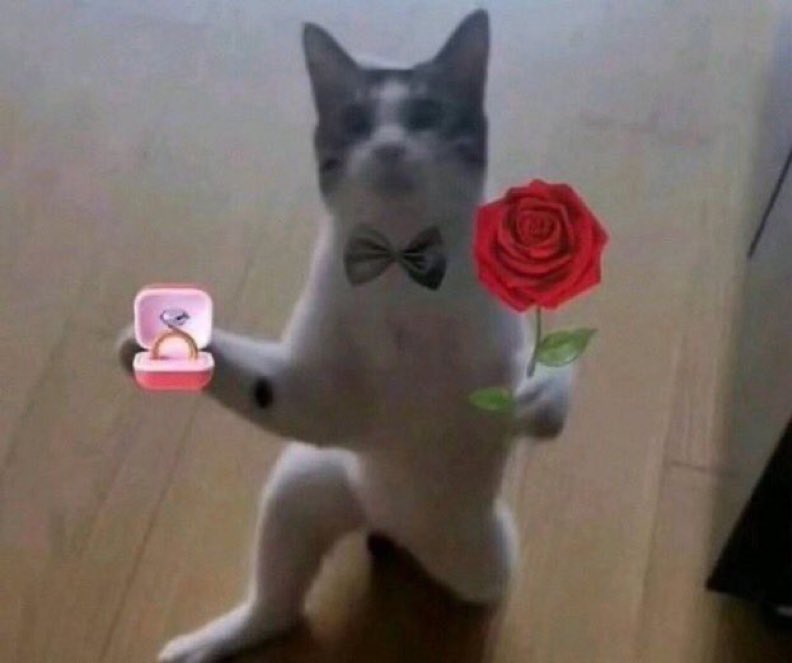 if algorithm brings this to your TL, say Hi let’s connect with you.