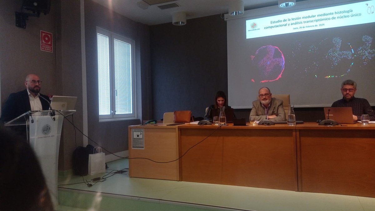 HNPdivulga tweet media