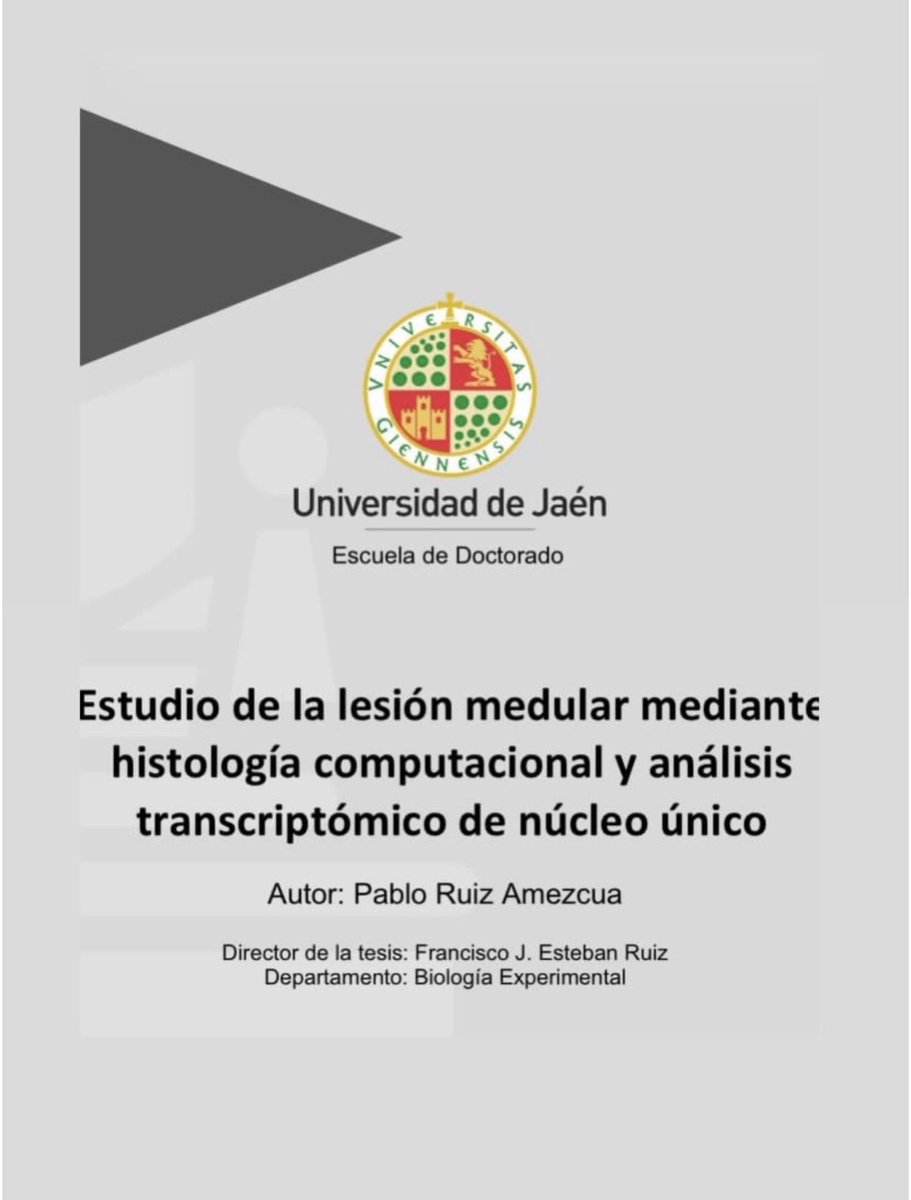 HNPdivulga tweet media