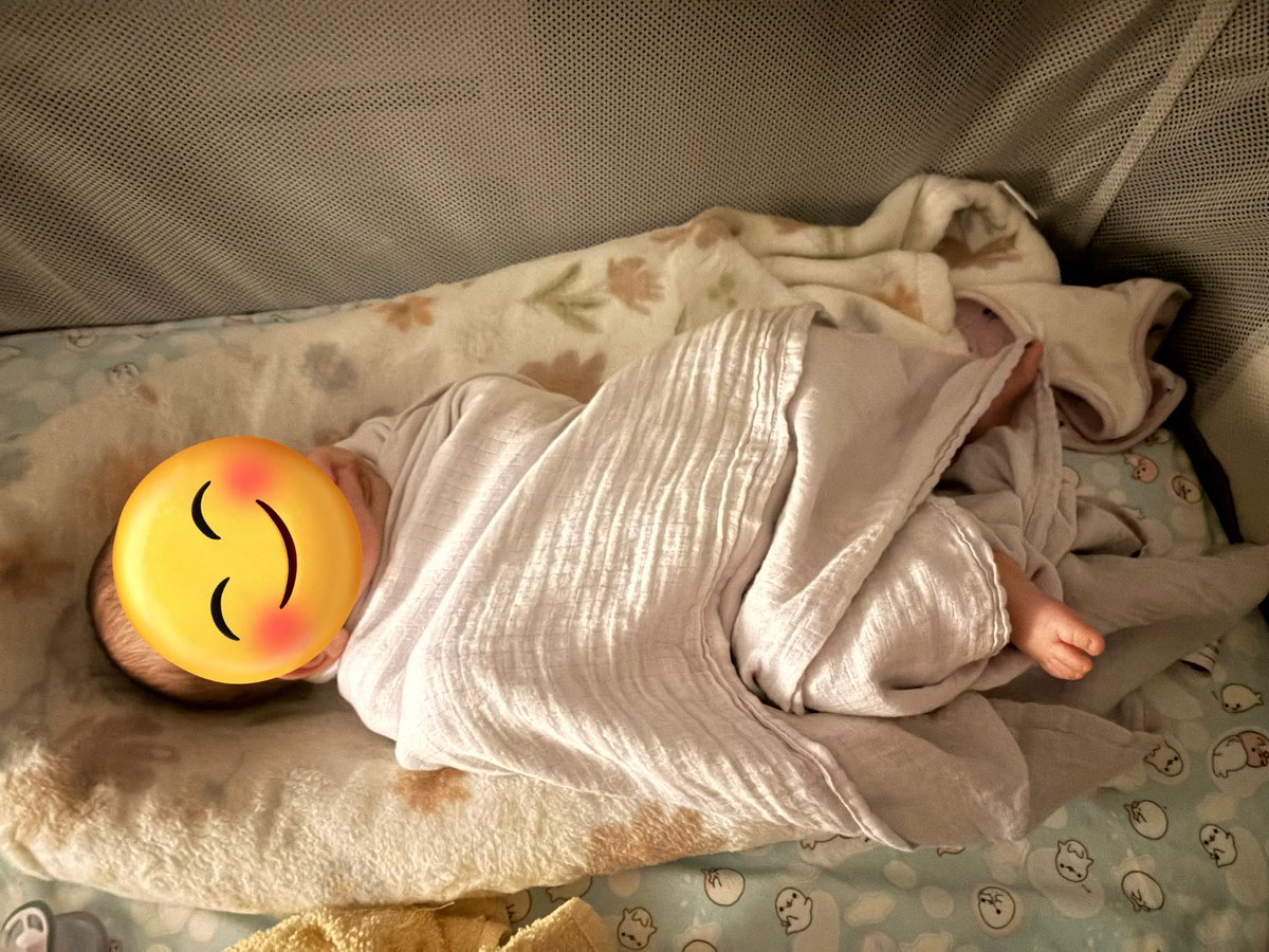 شیشَرَک tweet media