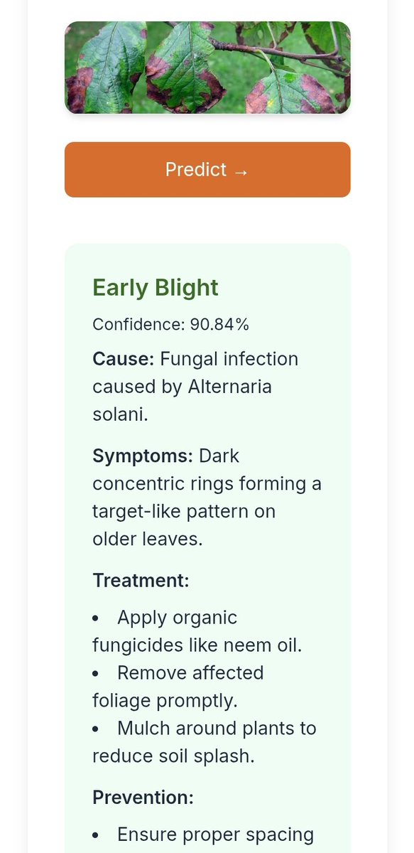 Abdulrahmon tweet media