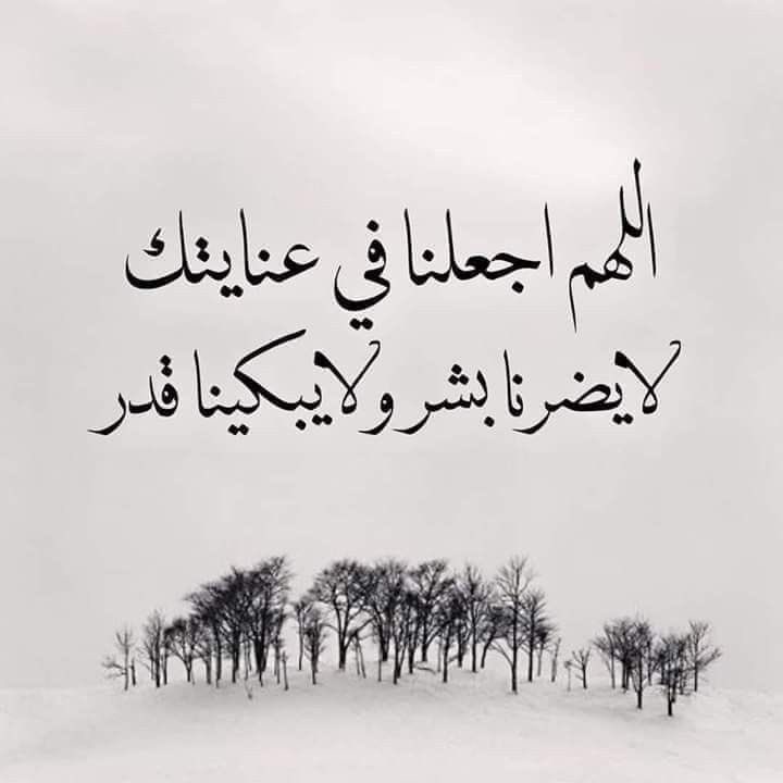 Sumaya Alharbi tweet media