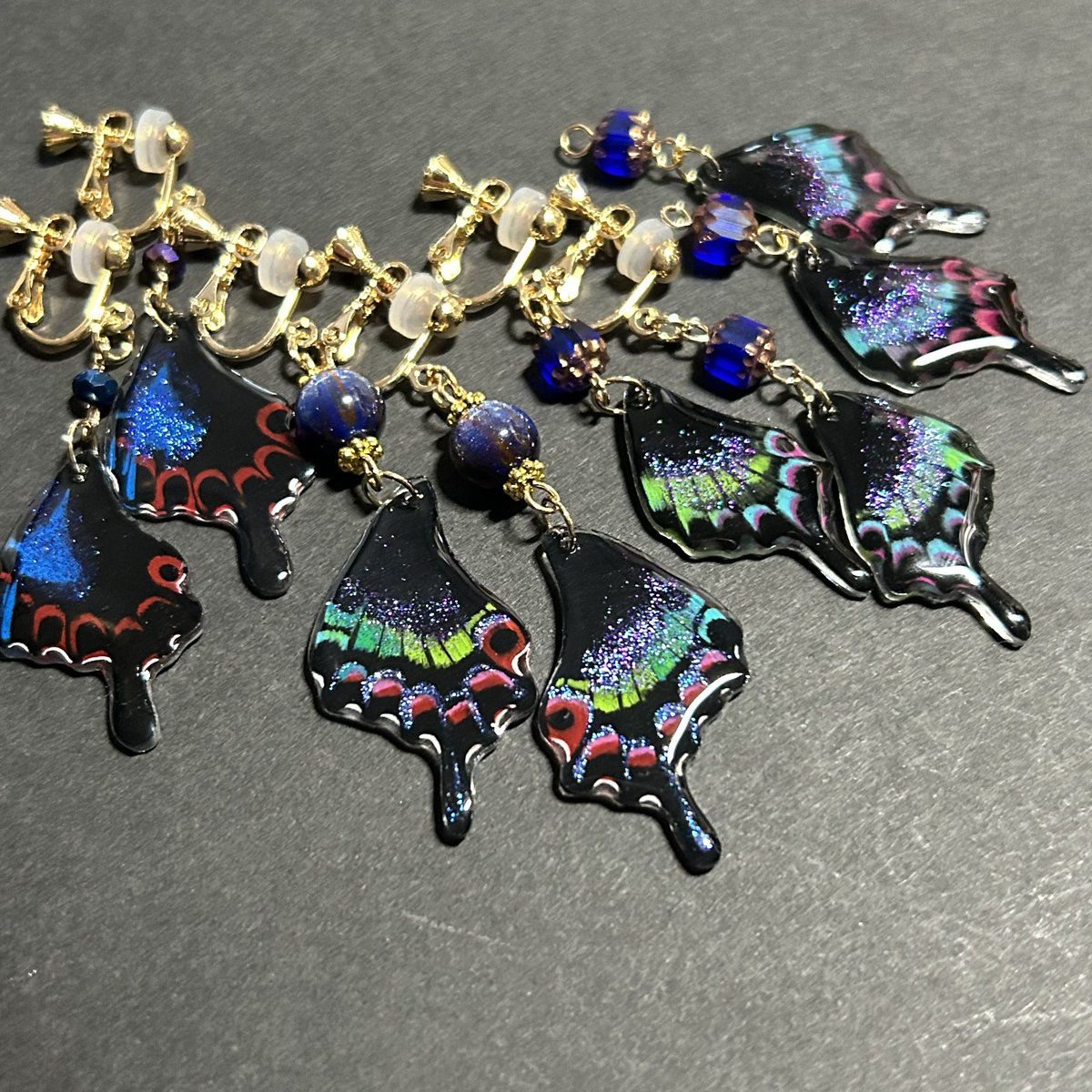 ホッポアゲハも追加しました✨ 定番のミヤマカラスアゲハも送り出します🦋