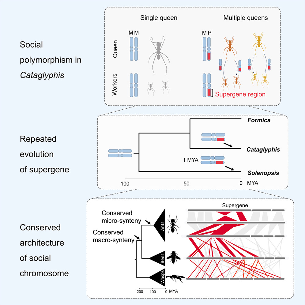Eyal Privman tweet media