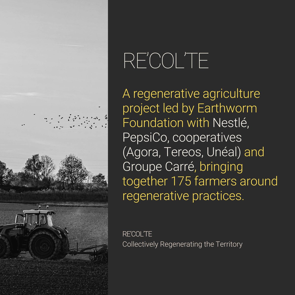 Earthworm Foundation tweet media