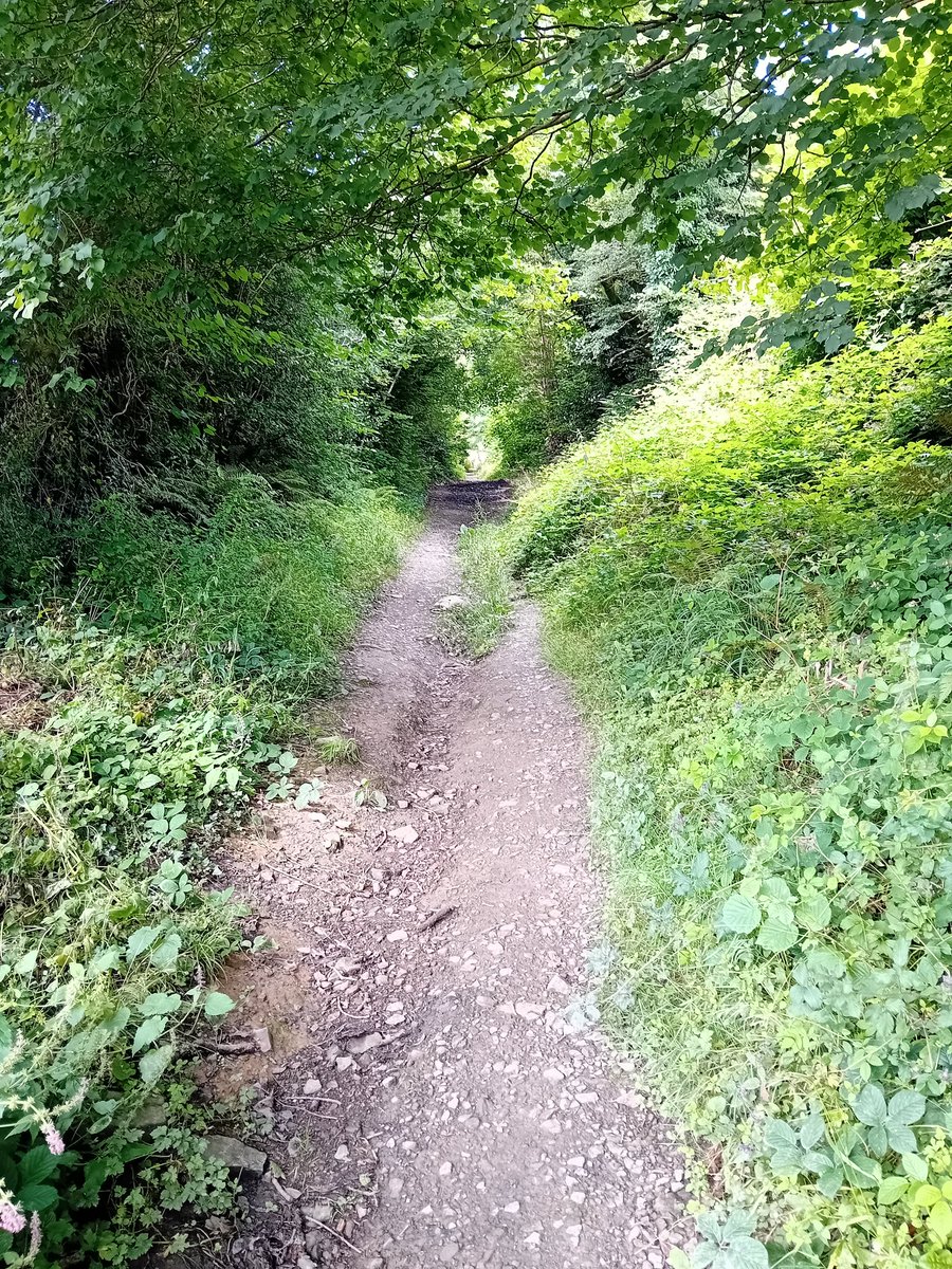 I Have No Mouth And I Must Ice-Cream tweet media