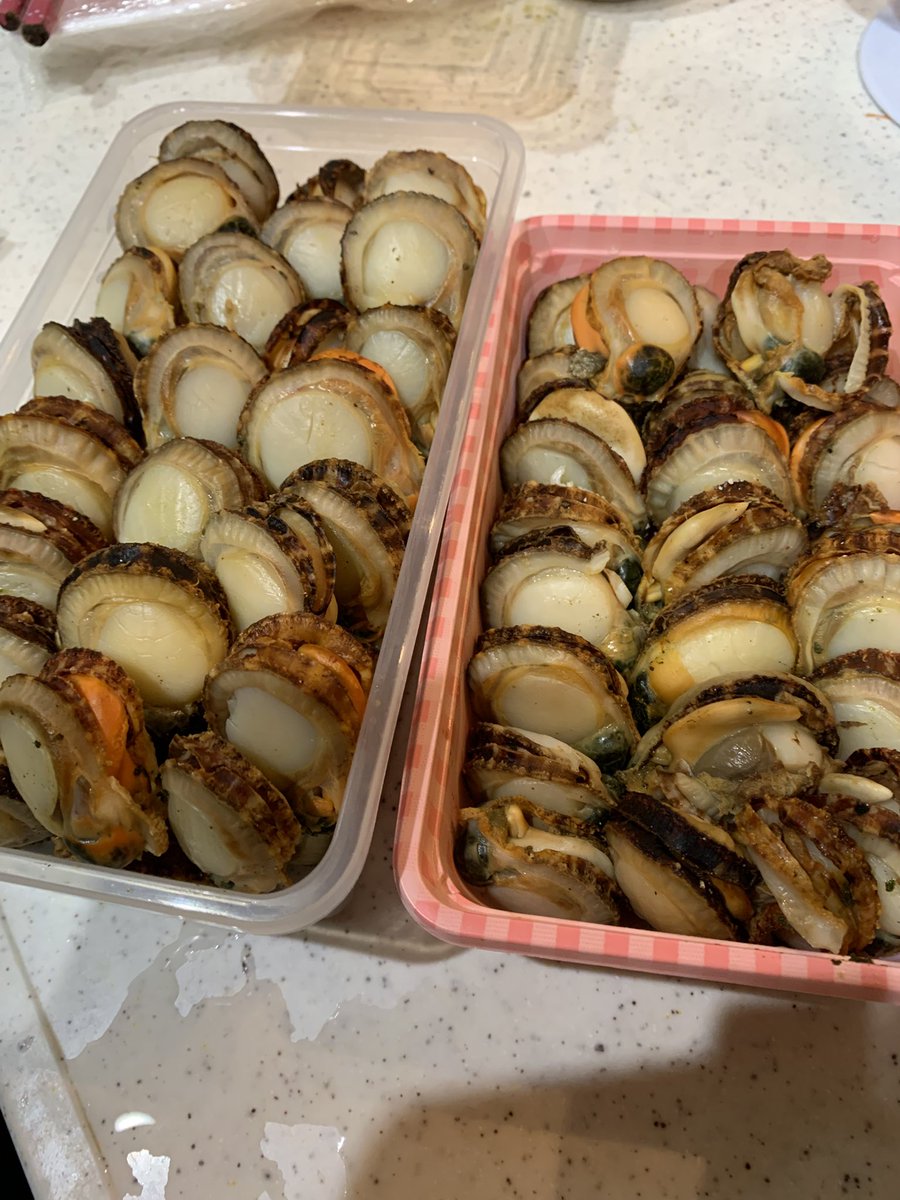 魚雷𓆜𓆝𓆞𓆟 (@rasinbaaaan) / Posts / X