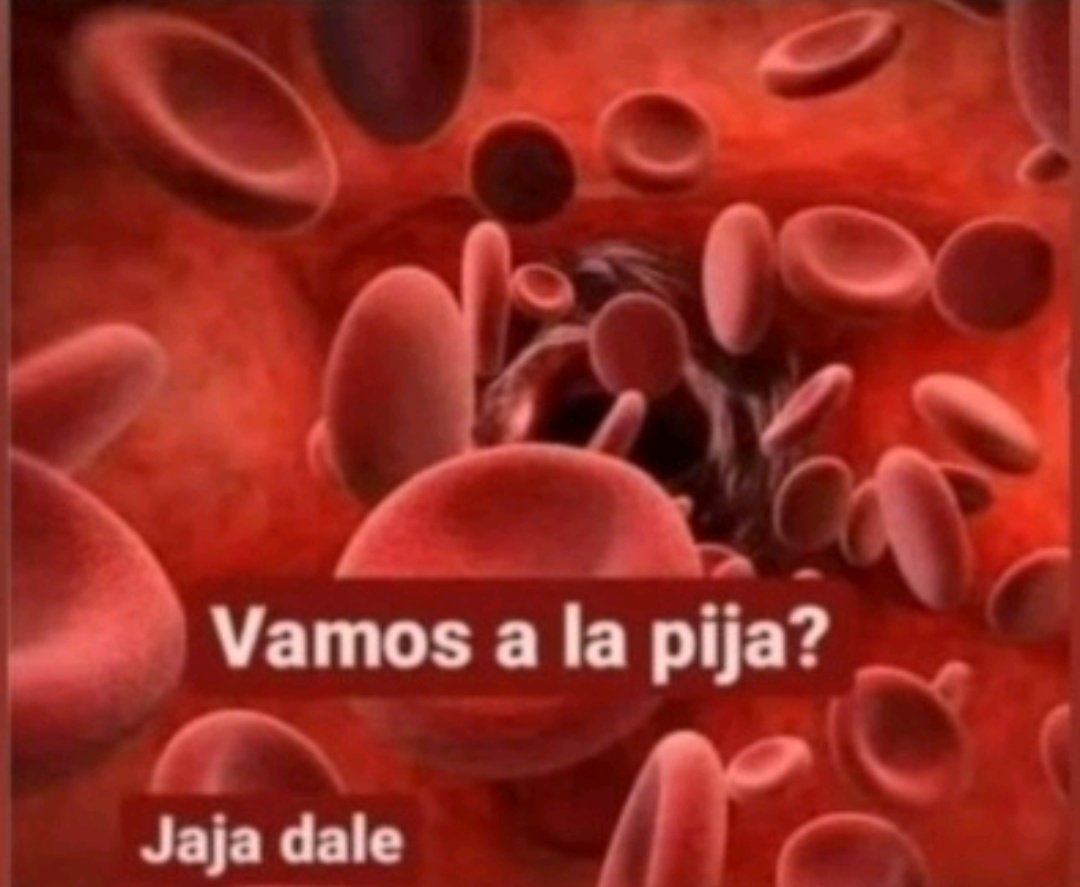 nadie: 

las células de sangre a la mañana: