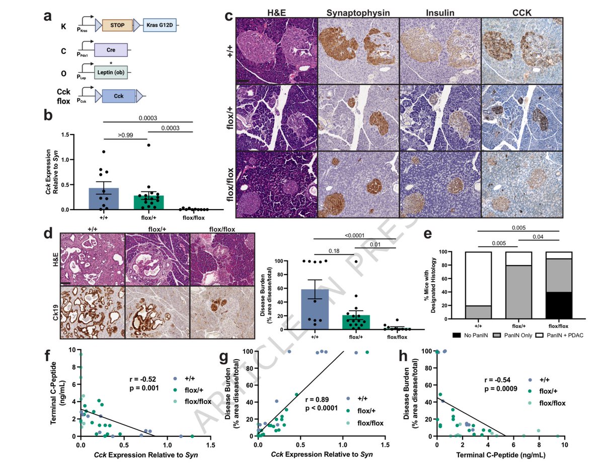 Daniel J Drucker tweet media