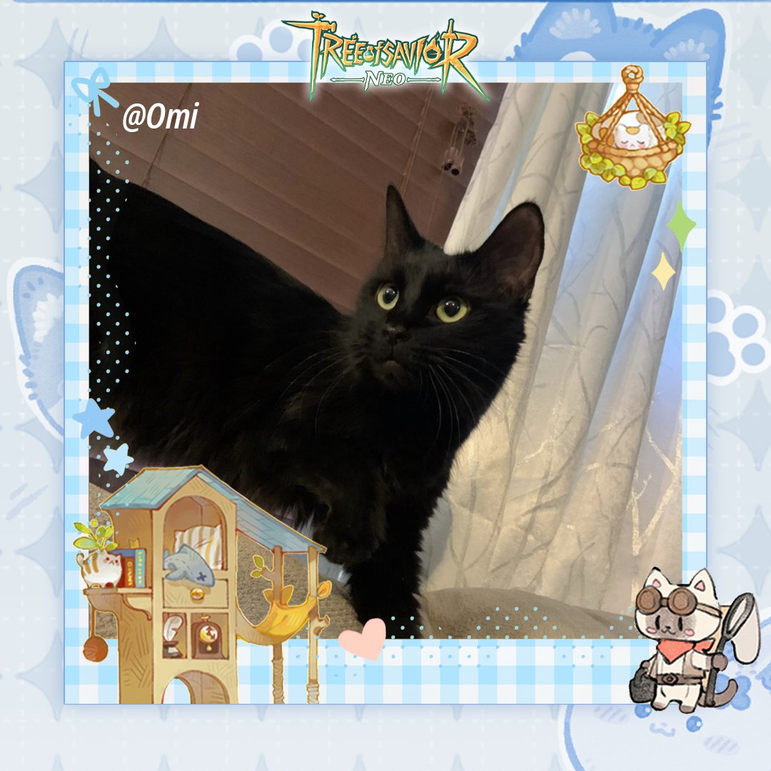 Tree of Savior: NEO tweet media