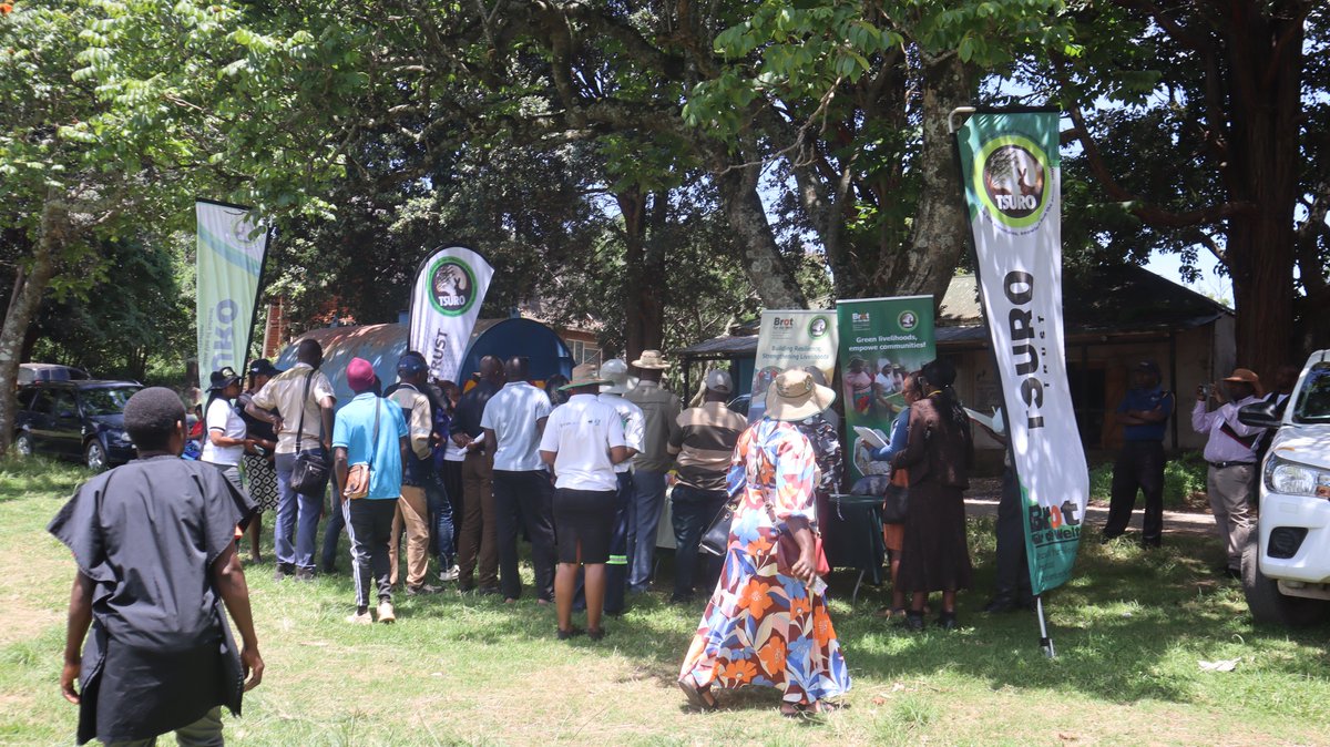 TSURO Trust tweet media