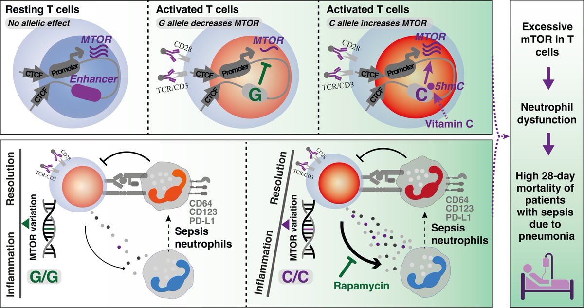 Ping Zhang tweet media