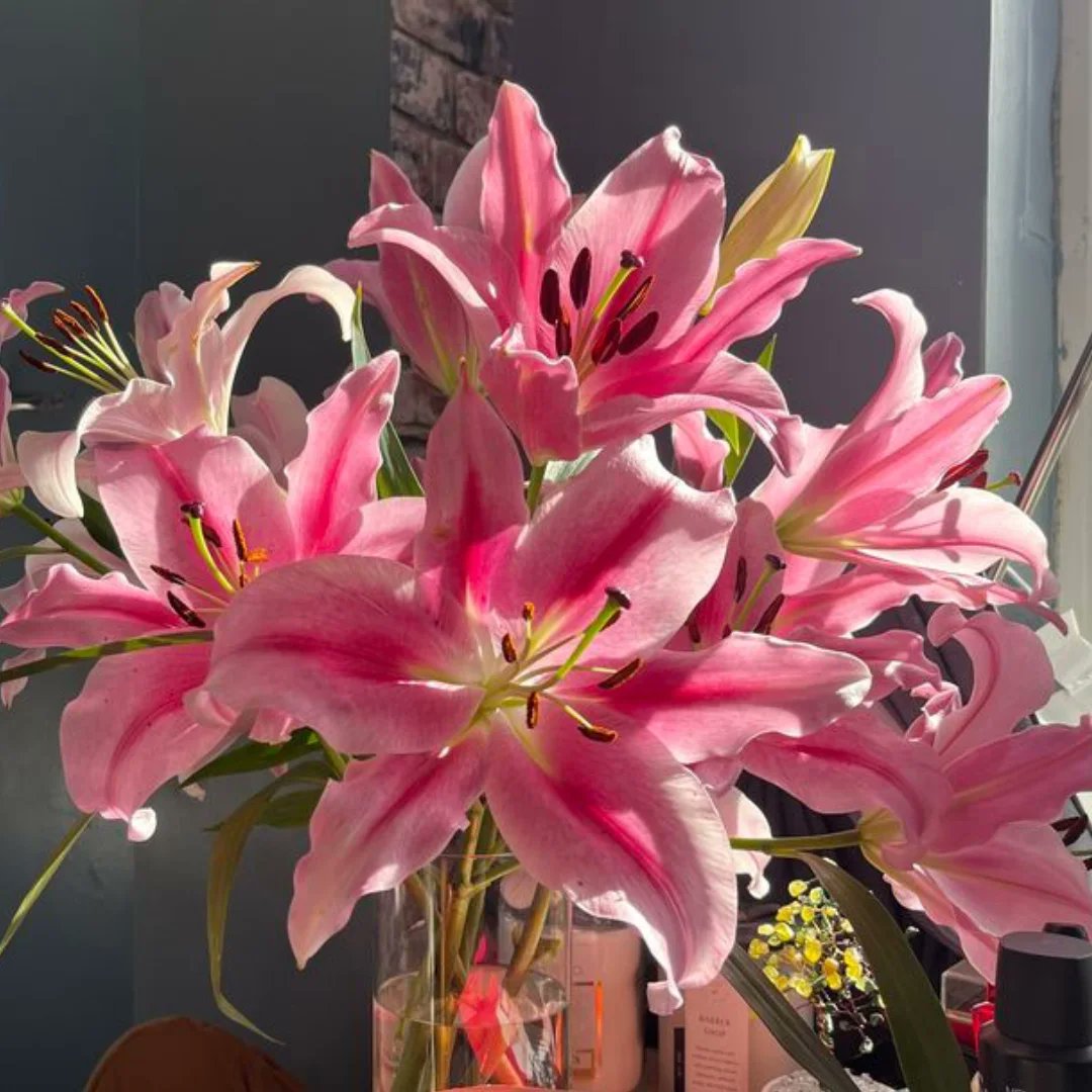 Flower Flicks tweet media