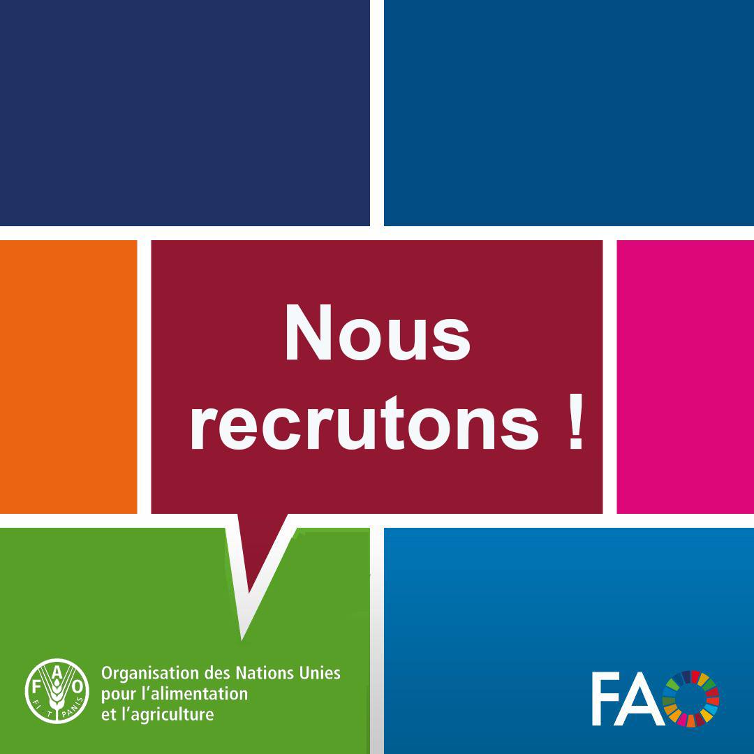 FAORDCongo's tweet photo. 📣La @FAO vous ouvre la porte pour un stage professionnel.
Vous êtes jeune, étudiant(e) ou jeune diplômé (e) âgé(e) de 2⃣1⃣ à 3⃣0⃣ans, vous êtes éligible.
🔗 Postulez : https://t.co/p0SVigWRQR
📝 Date limite : 2⃣8⃣février 2⃣0⃣2⃣6⃣ https://t.co/H2cz3oP1dB